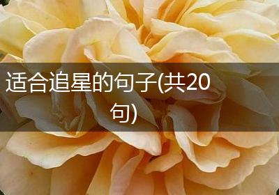 适合追星的句子(共20句)