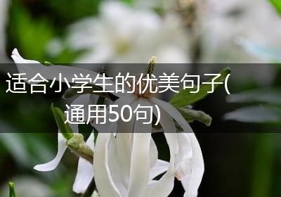 适合小学生的优美句子(通用50句)