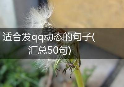 适合发qq动态的句子(汇总50句)
