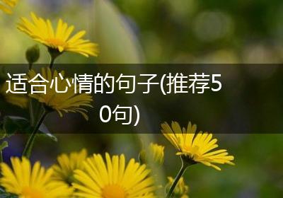 适合心情的句子(推荐50句)