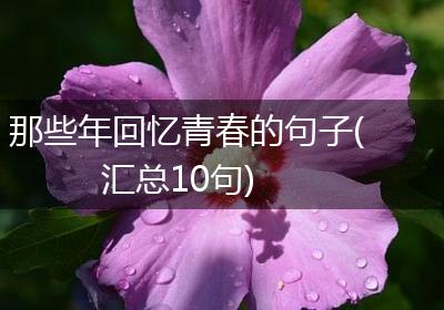 那些年回忆青春的句子(汇总10句)