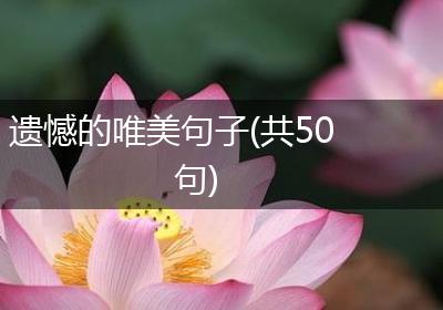 遗憾的唯美句子(共50句)