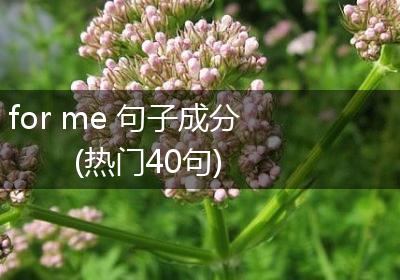 for me 句子成分(热门40句)