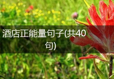 酒店正能量句子(共40句)