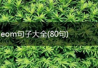 eom句子大全(80句)