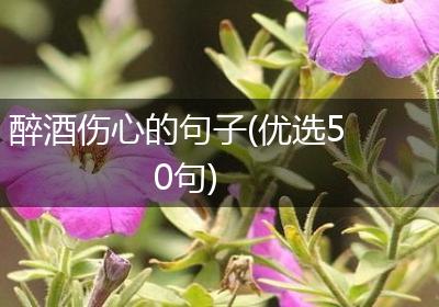 醉酒伤心的句子(优选50句)