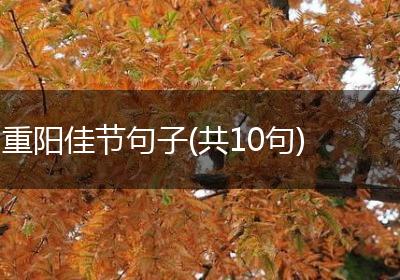 重阳佳节句子(共10句)