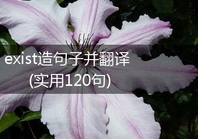 exist造句子并翻译(实用120句)
