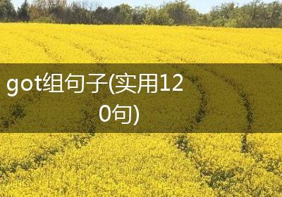 got组句子(实用120句)