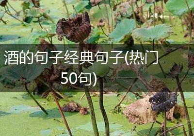 酒的句子经典句子(热门50句)