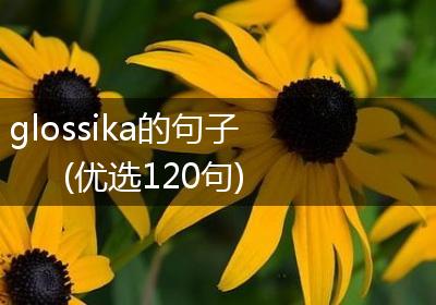 glossika的句子(优选120句)