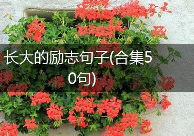 长大的励志句子(合集50句)