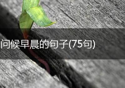 问候早晨的句子(75句)