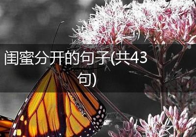 闺蜜分开的句子(共43句)