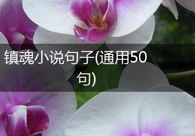 镇魂小说句子(通用50句)