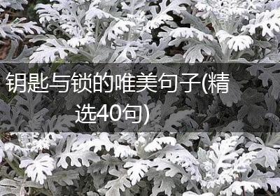 钥匙与锁的唯美句子(精选40句)