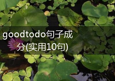 goodtodo句子成分(实用10句)