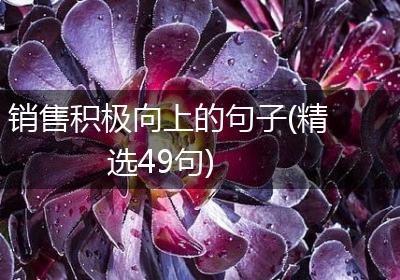 销售积极向上的句子(精选49句)
