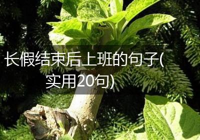 长假结束后上班的句子(实用20句)