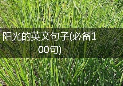 阳光的英文句子(必备100句)