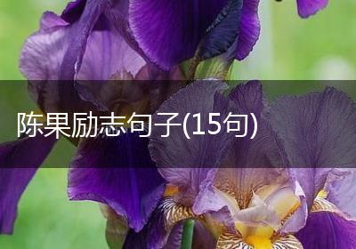 陈果励志句子(15句)