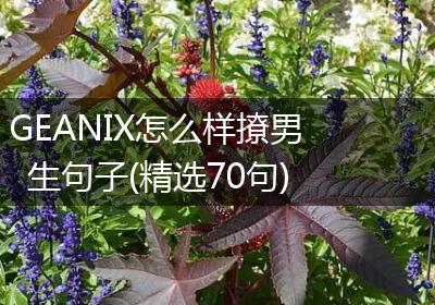 GEANIX怎么样撩男生句子(精选70句)