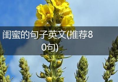 闺蜜的句子英文(推荐80句)