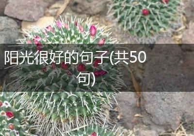 阳光很好的句子(共50句)