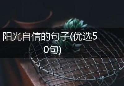 阳光自信的句子(优选50句)