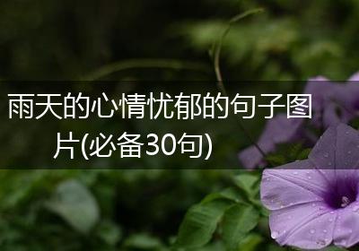 雨天的心情忧郁的句子图片(必备30句)