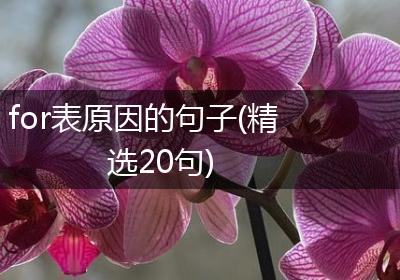 for表原因的句子(精选20句)