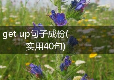 get up句子成份(实用40句)