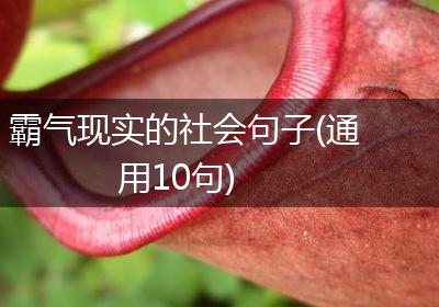 霸气现实的社会句子(通用10句)