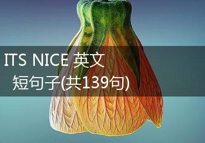 ITS NICE 英文短句子(共139句)