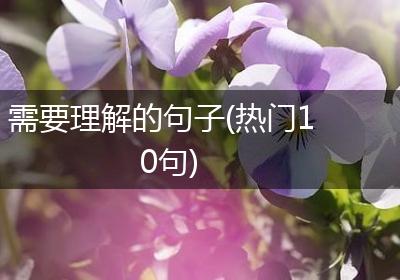 需要理解的句子(热门10句)