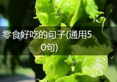 零食好吃的句子(通用50句)