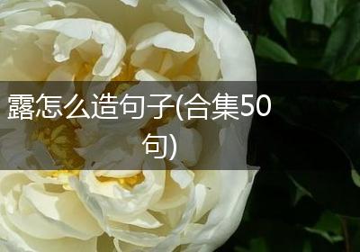 露怎么造句子(合集50句)