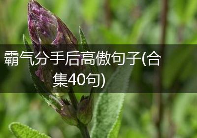 霸气分手后高傲句子(合集40句)