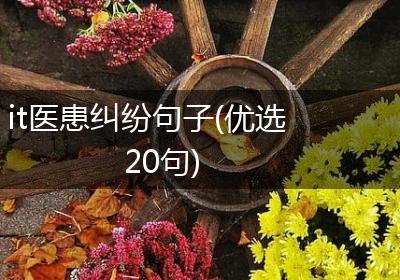it医患纠纷句子(优选20句)