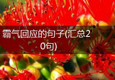 霸气回应的句子(汇总20句)