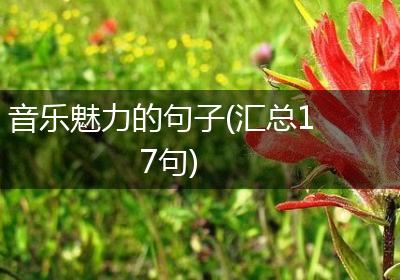 音乐魅力的句子(汇总17句)