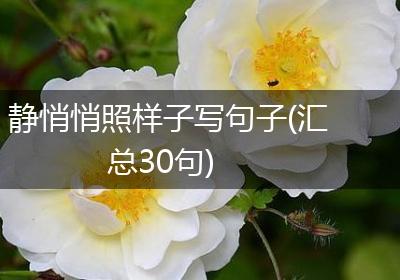 静悄悄照样子写句子(汇总30句)