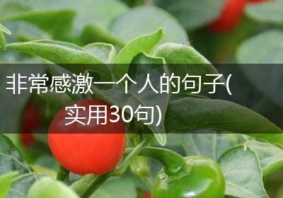 非常感激一个人的句子(实用30句)