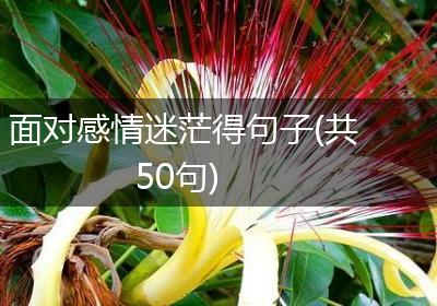 面对感情迷茫得句子(共50句)