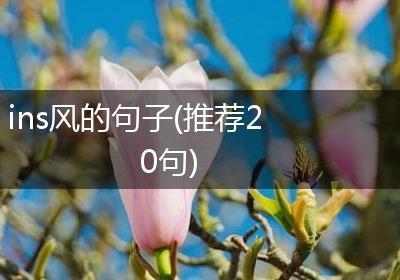 ins风的句子(推荐20句)