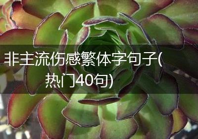 非主流伤感繁体字句子(热门40句)