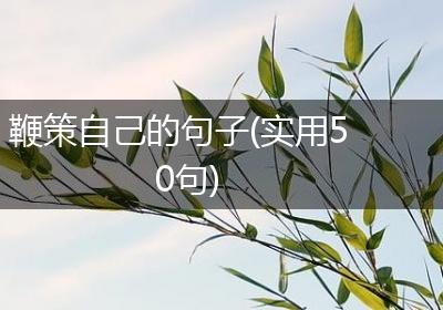 鞭策自己的句子(实用50句)