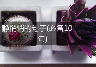 静悄悄的句子(必备10句)