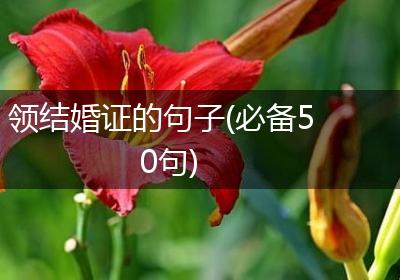 领结婚证的句子(必备50句)