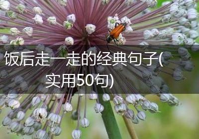 饭后走一走的经典句子(实用50句)